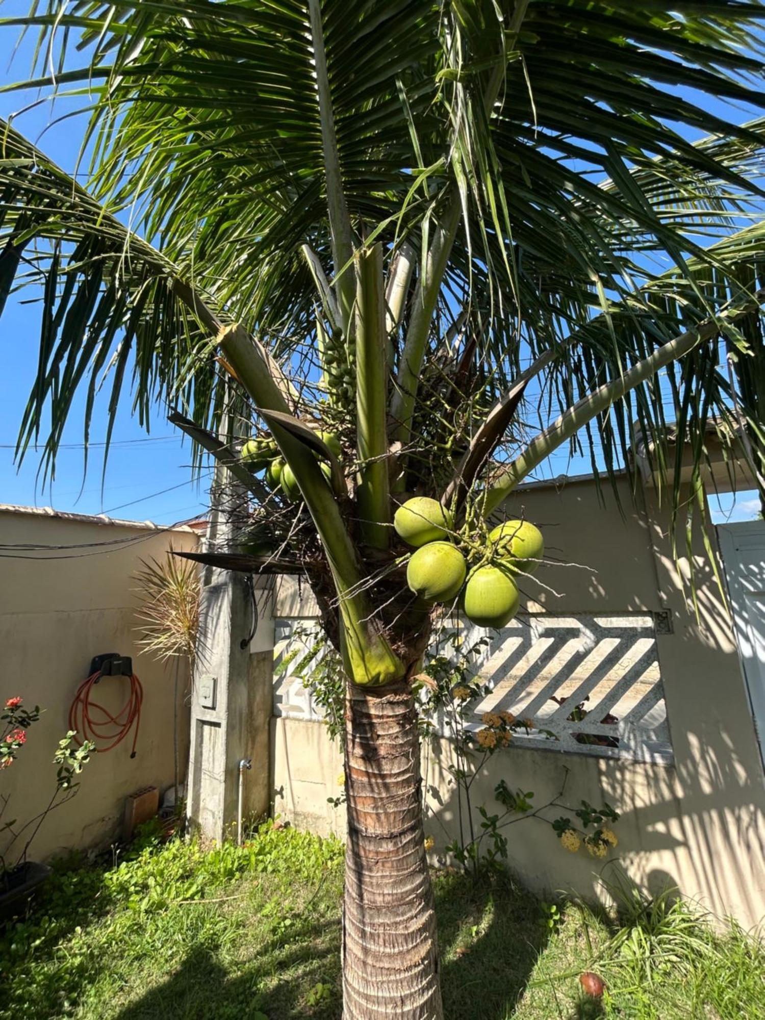 Casa Aconchegante Para Lazer E Descanso Araruama Exterior foto